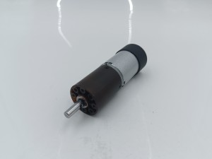 30MM 24V Brushed Planetary Gear Motor 100RPM 0.31NM 3W